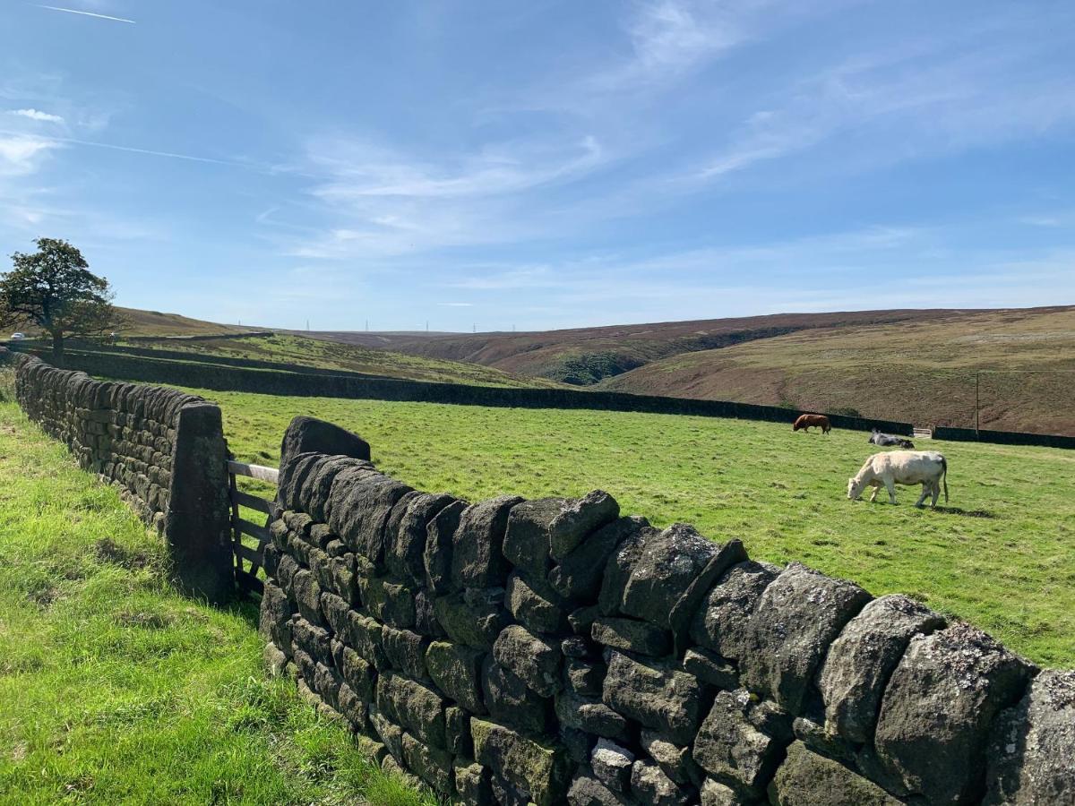 Bess Cottage هيبدين بريدج المظهر الخارجي الصورة